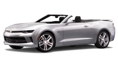 car option